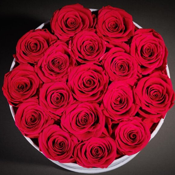 Amazon.com: Prifroti 17 Flowers in a Luxury Suede Box  17 Flowers in a Luxury Suede Box Birthday Gifts Preserved Flowers Hot Pink
